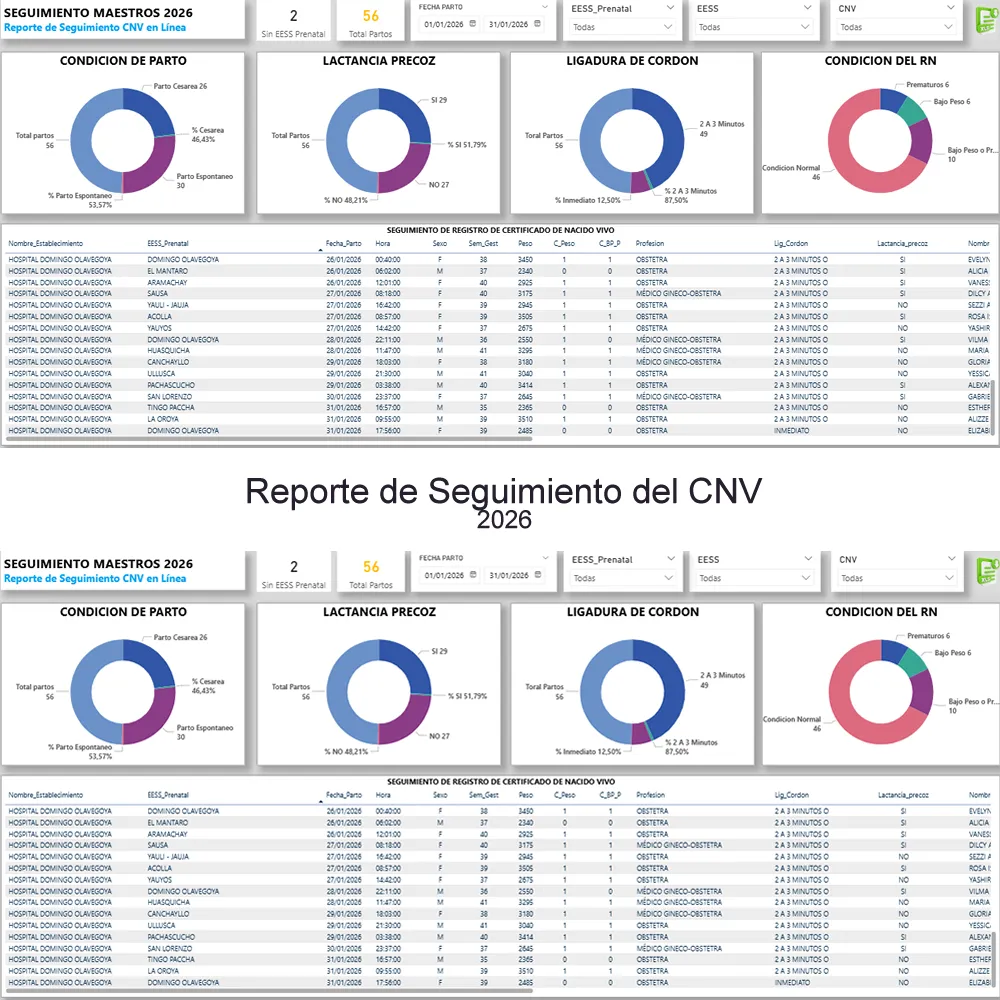 Cod.016: Dashboard Power BI Auditoría y Seguimiento de Certificados de Nacido Vivo (CNV) v2026